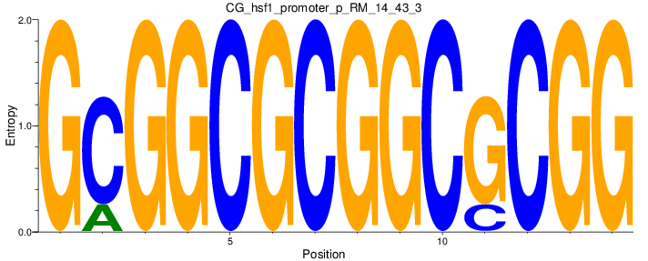 CG_hsf1_promoter_p_RM_14_43_3