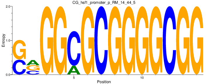 CG_hsf1_promoter_p_RM_14_44_5