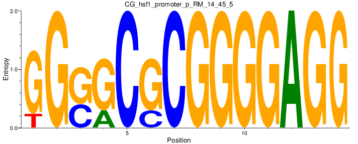 CG_hsf1_promoter_p_RM_14_45_5