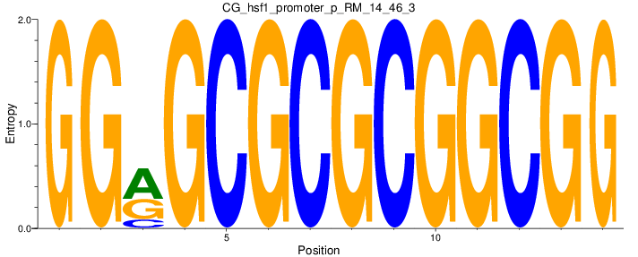 CG_hsf1_promoter_p_RM_14_46_3