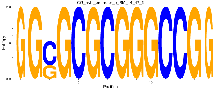 CG_hsf1_promoter_p_RM_14_47_2