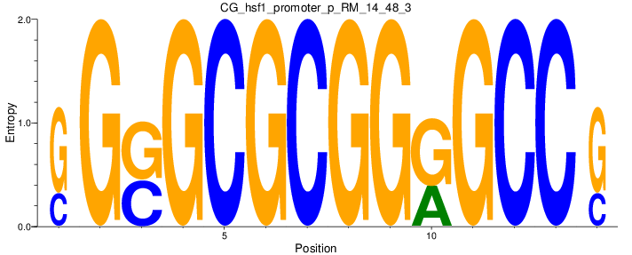 CG_hsf1_promoter_p_RM_14_48_3
