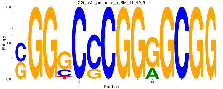 CG_hsf1_promoter_p_RM_14_49_5