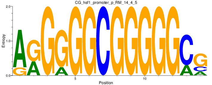 CG_hsf1_promoter_p_RM_14_4_5