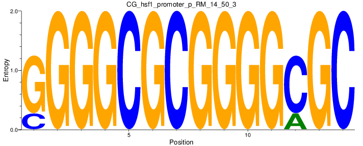 CG_hsf1_promoter_p_RM_14_50_3