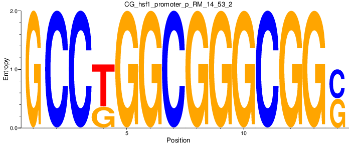 CG_hsf1_promoter_p_RM_14_53_2