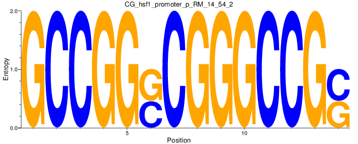 CG_hsf1_promoter_p_RM_14_54_2
