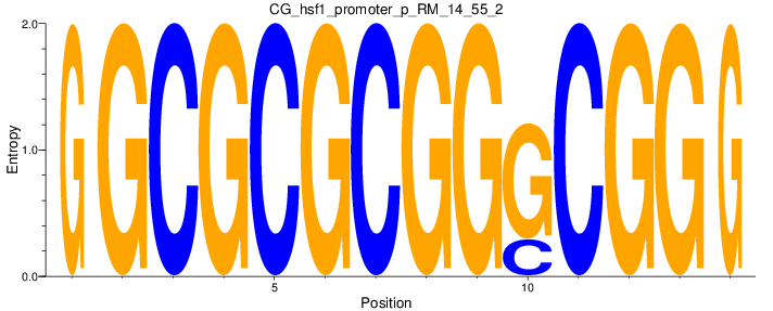 CG_hsf1_promoter_p_RM_14_55_2