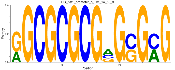 CG_hsf1_promoter_p_RM_14_56_3
