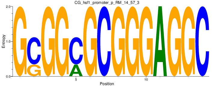 CG_hsf1_promoter_p_RM_14_57_3