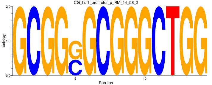 CG_hsf1_promoter_p_RM_14_58_2