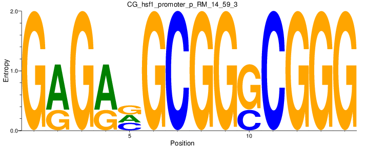 CG_hsf1_promoter_p_RM_14_59_3