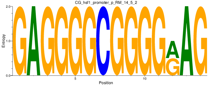 CG_hsf1_promoter_p_RM_14_5_2
