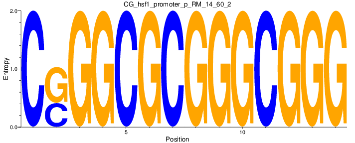 CG_hsf1_promoter_p_RM_14_60_2