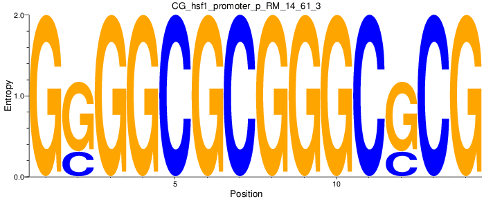 CG_hsf1_promoter_p_RM_14_61_3
