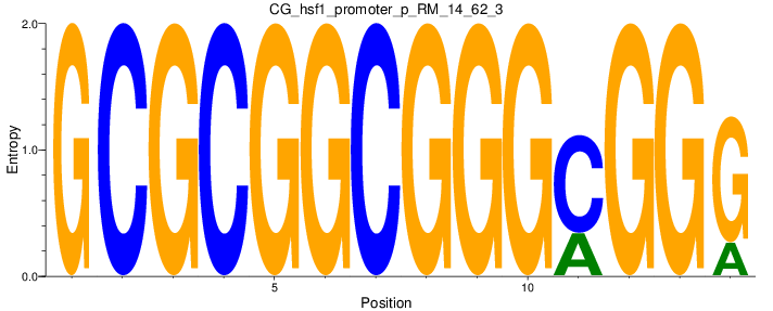 CG_hsf1_promoter_p_RM_14_62_3