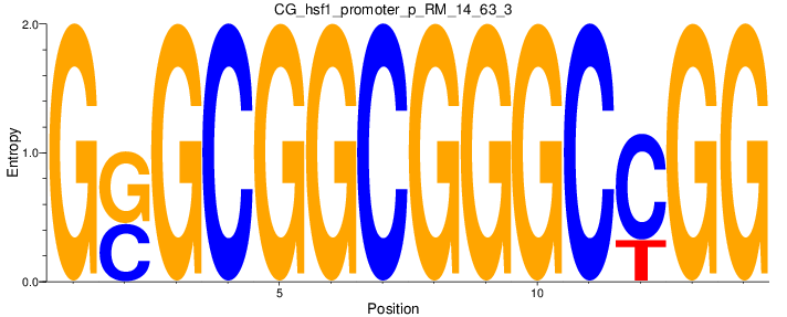 CG_hsf1_promoter_p_RM_14_63_3