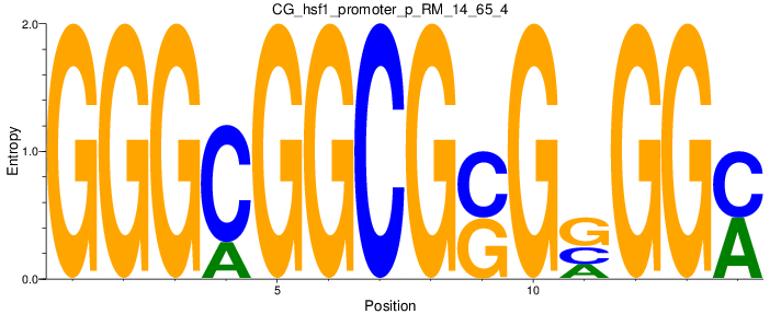 CG_hsf1_promoter_p_RM_14_65_4