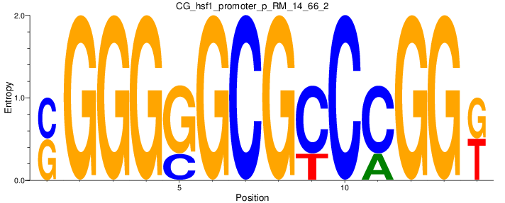 CG_hsf1_promoter_p_RM_14_66_2