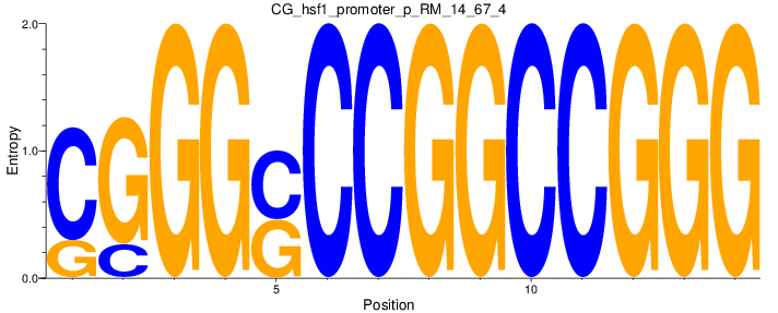 CG_hsf1_promoter_p_RM_14_67_4