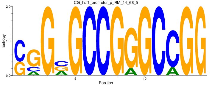 CG_hsf1_promoter_p_RM_14_68_5