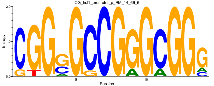 CG_hsf1_promoter_p_RM_14_69_6