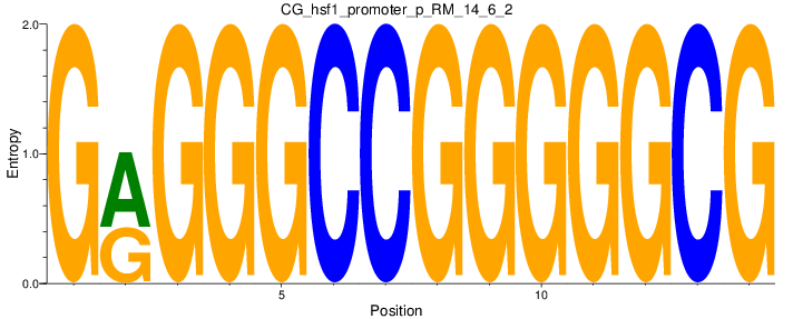 CG_hsf1_promoter_p_RM_14_6_2