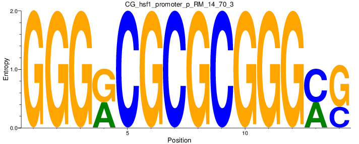CG_hsf1_promoter_p_RM_14_70_3