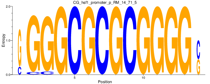 CG_hsf1_promoter_p_RM_14_71_5