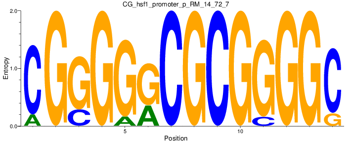 CG_hsf1_promoter_p_RM_14_72_7