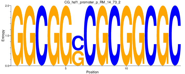 CG_hsf1_promoter_p_RM_14_73_2