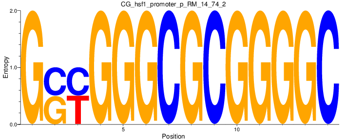 CG_hsf1_promoter_p_RM_14_74_2