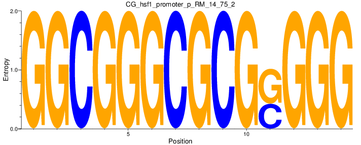 CG_hsf1_promoter_p_RM_14_75_2