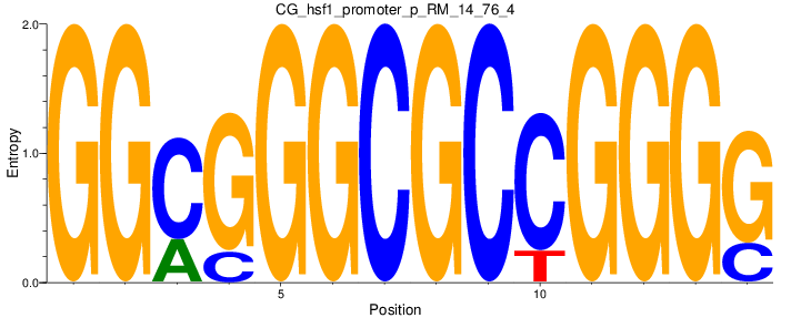 CG_hsf1_promoter_p_RM_14_76_4