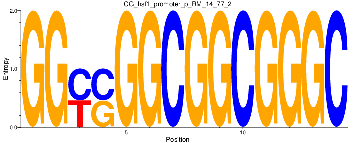 CG_hsf1_promoter_p_RM_14_77_2