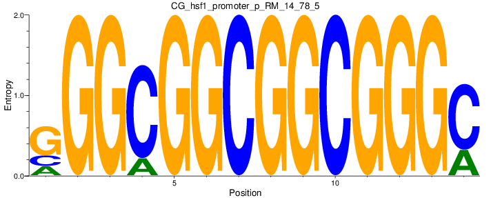 CG_hsf1_promoter_p_RM_14_78_5