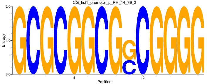 CG_hsf1_promoter_p_RM_14_79_2