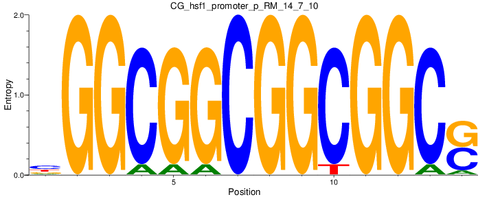 CG_hsf1_promoter_p_RM_14_7_10