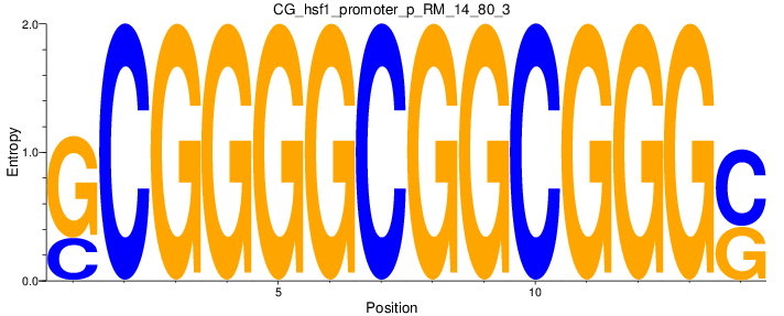CG_hsf1_promoter_p_RM_14_80_3