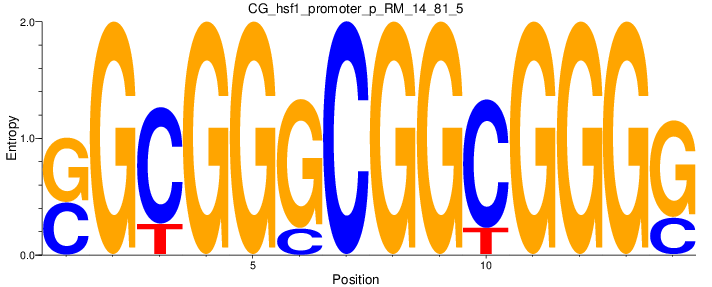 CG_hsf1_promoter_p_RM_14_81_5