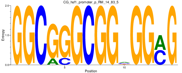 CG_hsf1_promoter_p_RM_14_83_5