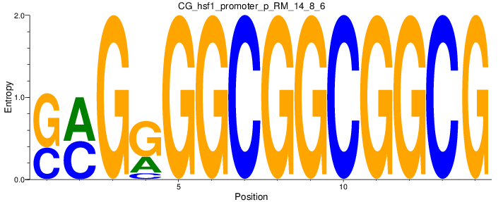 CG_hsf1_promoter_p_RM_14_8_6