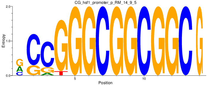 CG_hsf1_promoter_p_RM_14_9_5