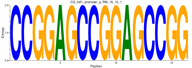 CG_hsf1_promoter_p_RM_16_10_1