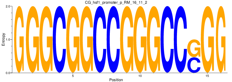 CG_hsf1_promoter_p_RM_16_11_2