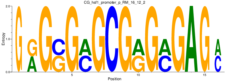 CG_hsf1_promoter_p_RM_16_12_2