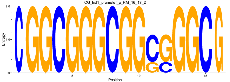 CG_hsf1_promoter_p_RM_16_13_2