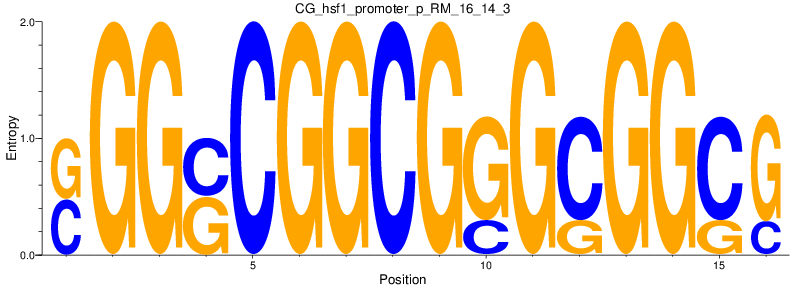 CG_hsf1_promoter_p_RM_16_14_3