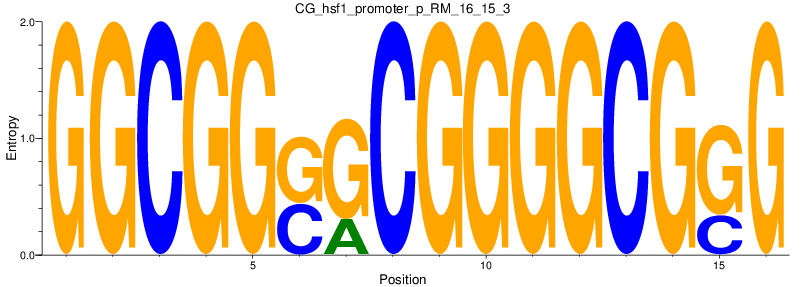 CG_hsf1_promoter_p_RM_16_15_3