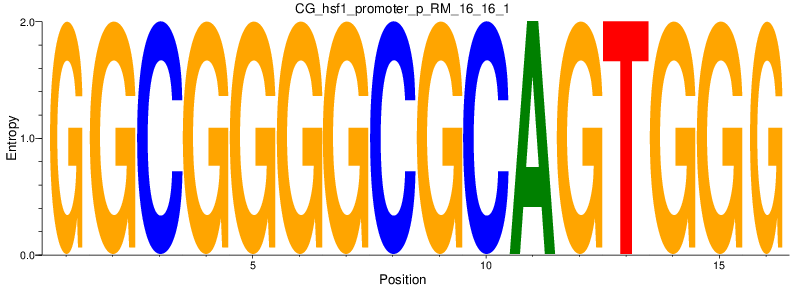 CG_hsf1_promoter_p_RM_16_16_1